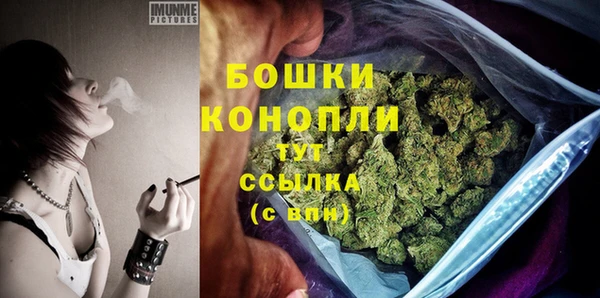 spice Абаза