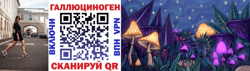 Псилоцибиновые грибы мицелий  Стерлитамак 