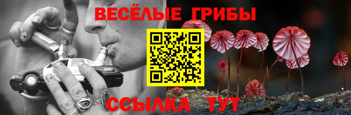 Стерлитамак  Псилоцибиновые грибы Cubensis  что такое   Вход с VPN  Галлюциногенные грибы прущие грибы 